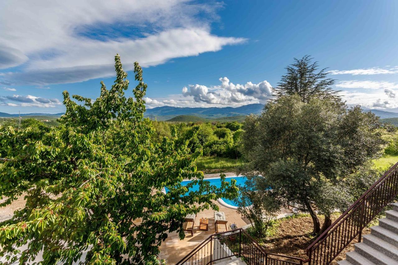 Casa Di Oliva-House With Heated Pool & Jacuzzi In Trilj, Croatia Βίλα Εξωτερικό φωτογραφία