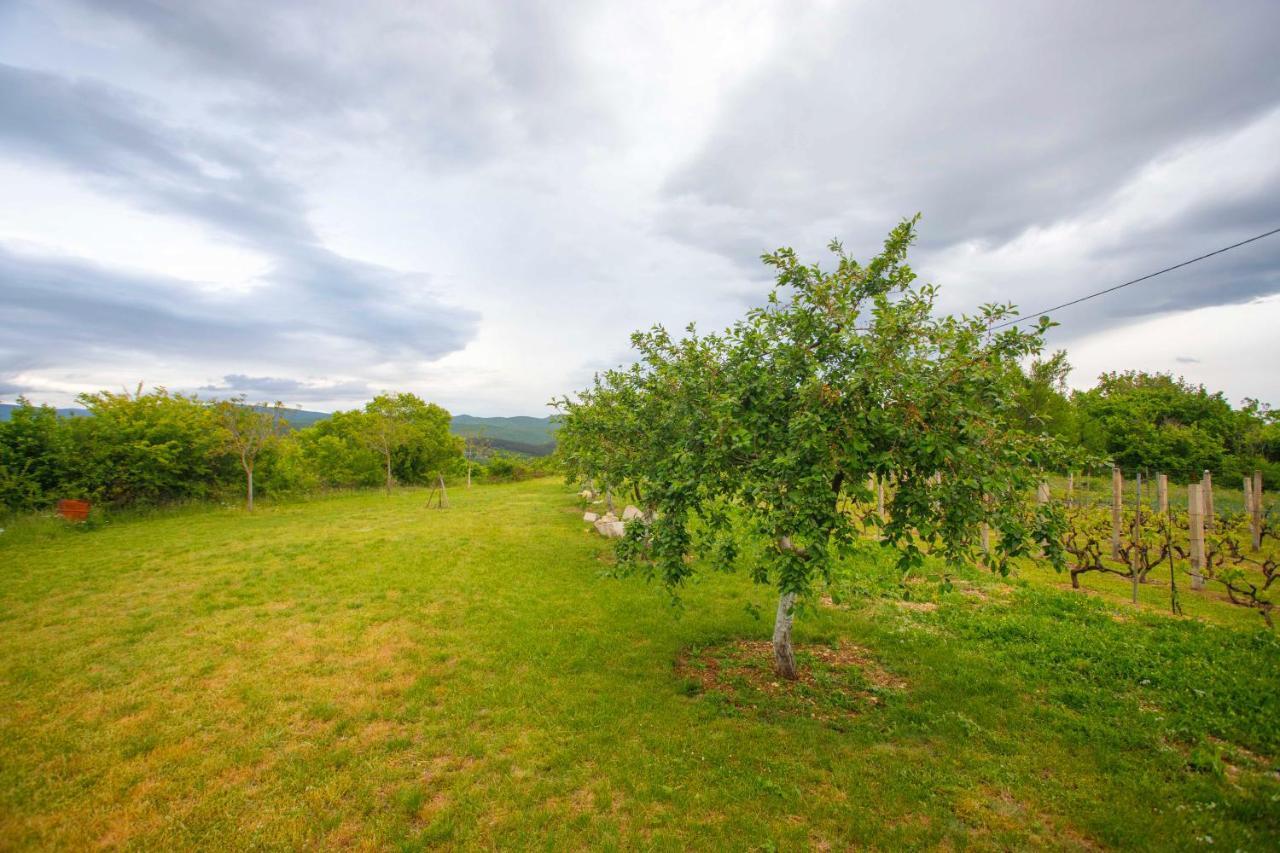 Casa Di Oliva-House With Heated Pool & Jacuzzi In Trilj, Croatia Βίλα Εξωτερικό φωτογραφία