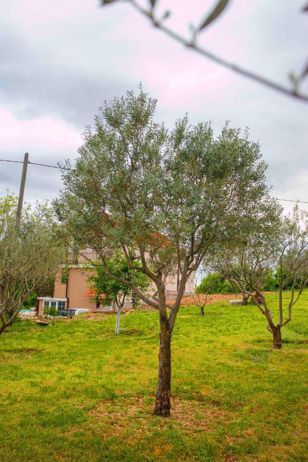 Casa Di Oliva-House With Heated Pool & Jacuzzi In Trilj, Croatia Βίλα Εξωτερικό φωτογραφία