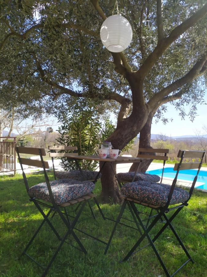 Casa Di Oliva-House With Heated Pool & Jacuzzi In Trilj, Croatia Βίλα Εξωτερικό φωτογραφία