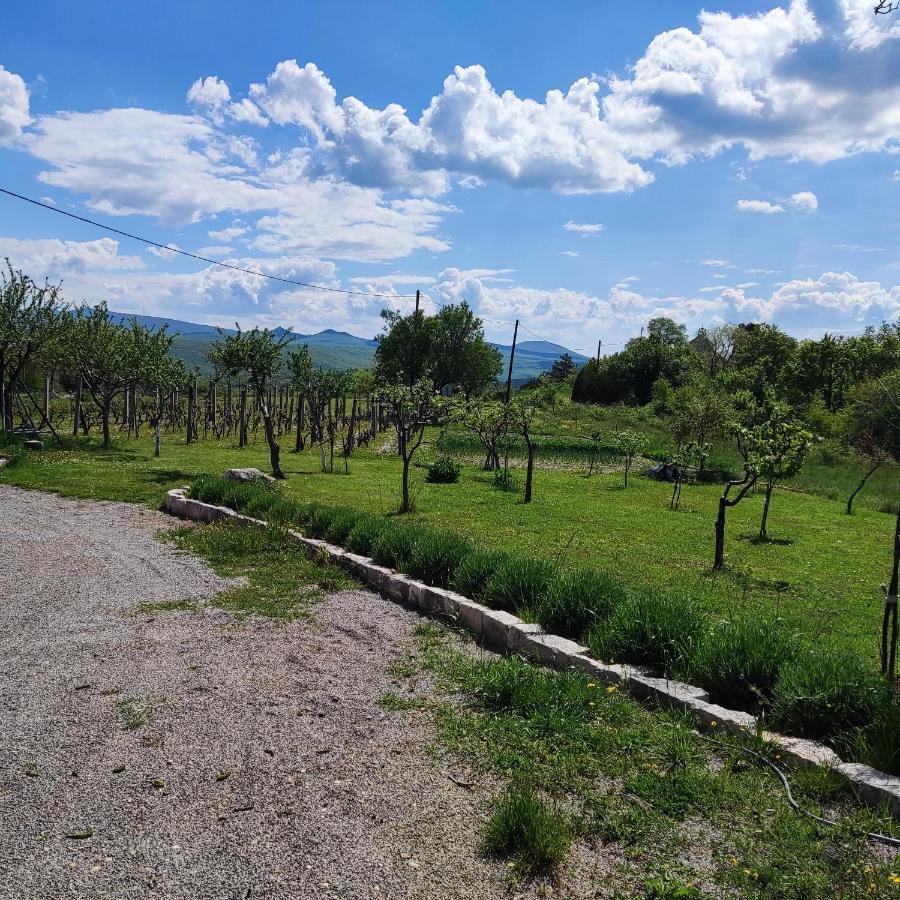 Casa Di Oliva-House With Heated Pool & Jacuzzi In Trilj, Croatia Βίλα Εξωτερικό φωτογραφία
